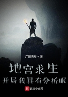 Survival in the Underground Palace: I have an analytical eye at the beginning